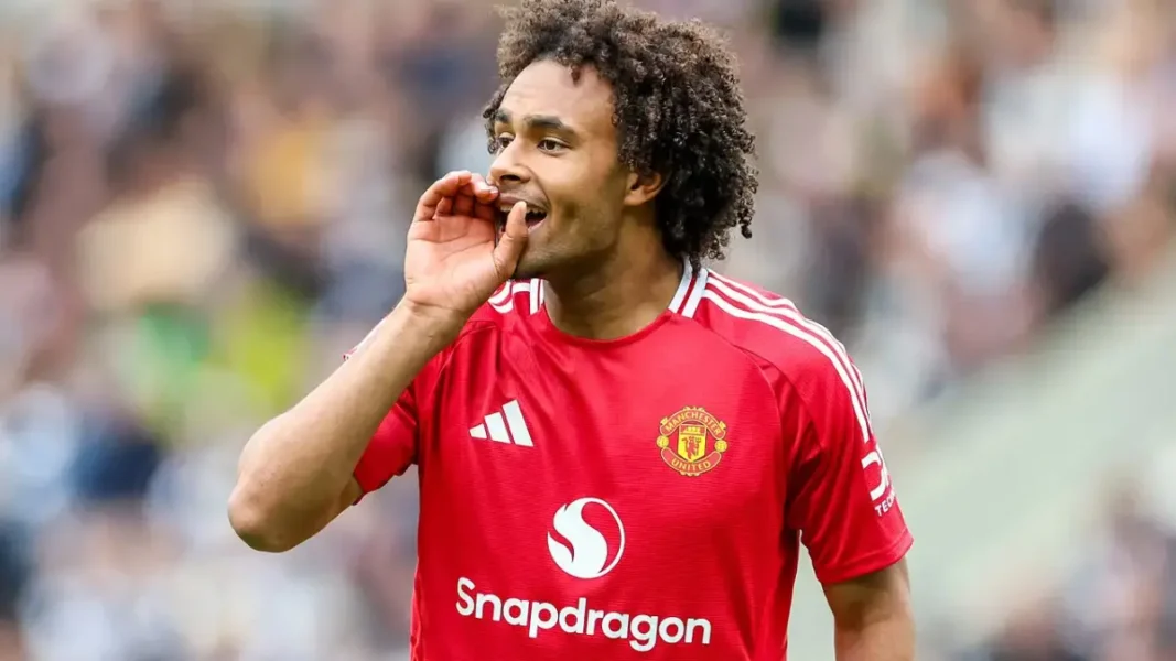 Zirkzee, la Fiorentina accelera: proposta da 40 milioni allo United